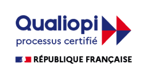 Logo Datalocké